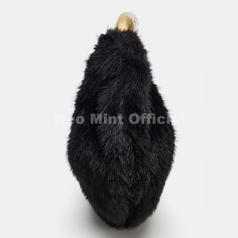 Neo Mint 2025 Winter Luxury Br - огляд і ціна Streetwear Brand Bag